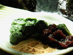 �~�M����̏����Y���������ւ̓��e�ʐ^1