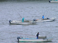 u낤v̂Ə]@x߂ւ̓eʐ^1