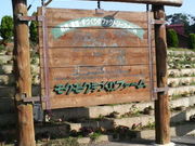 Ossÿɉ̗NNÂt@[̓eʐ^1