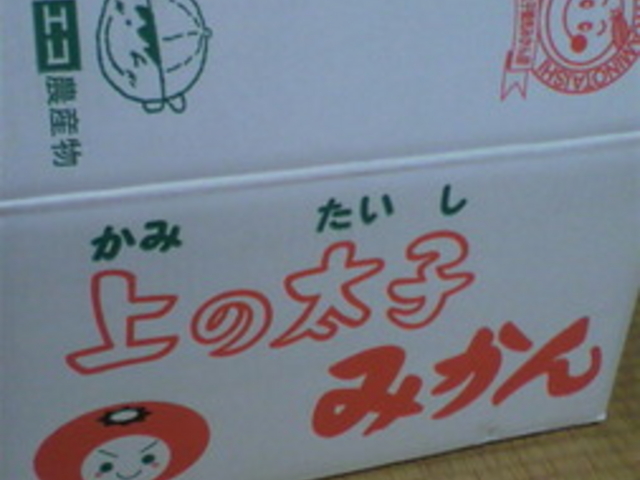 ��̑��q�ό��݂���