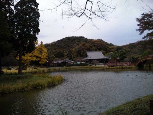 �̖����뉀