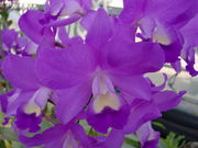 g~̕xRԑZ^[iGKK[fj̓eʐ^1