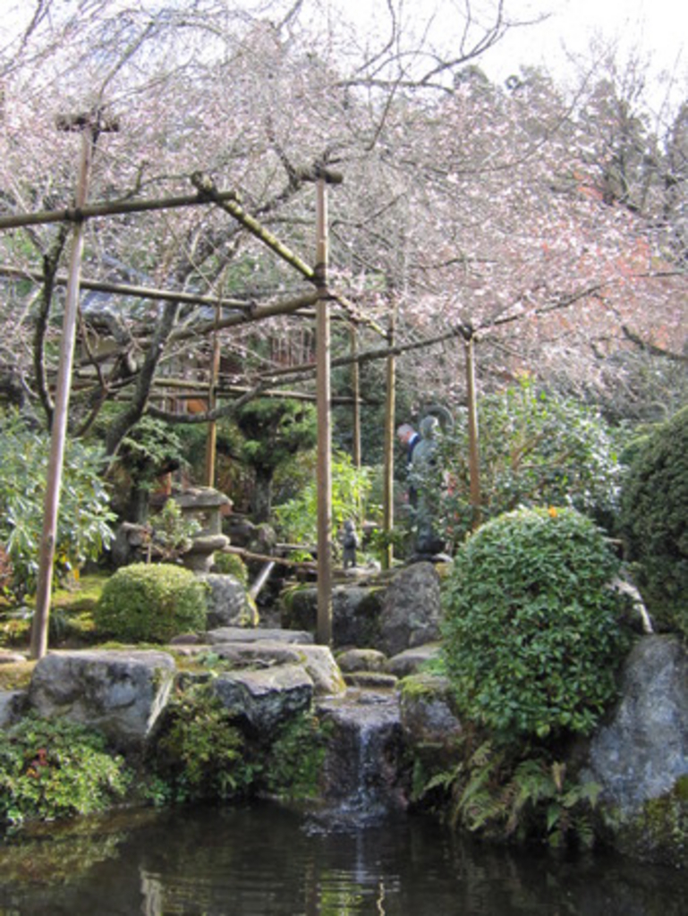 京都のその他神社 神宮 寺院ランキングtop10 5ページ目 じゃらんnet