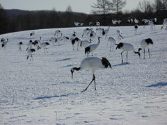 ~g̒ߋEɓ^`ETN`Aւ̓eʐ^1