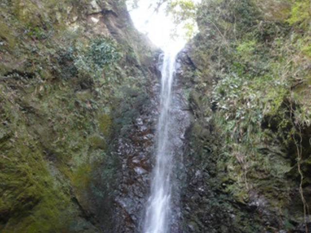 �ԉŊX���ƍ���A�����V����A�U��R�[�X