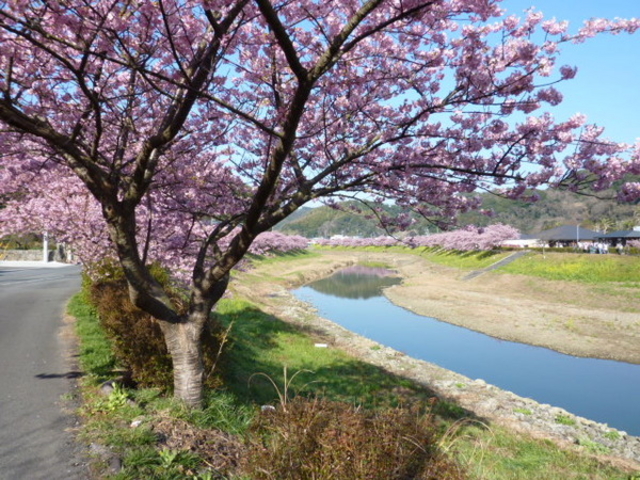 ��ʎВc�@�l��ɓ����ό�����