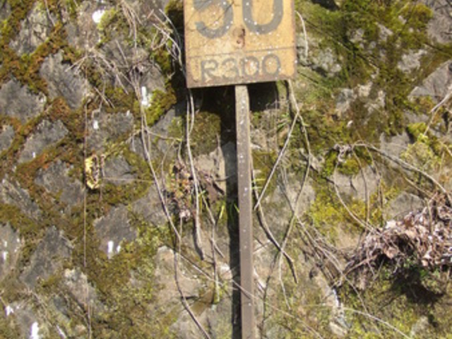 ���c������