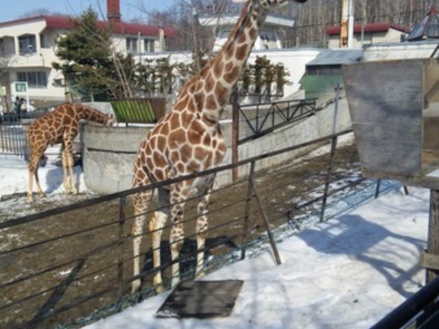 ���R������