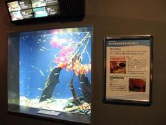 �V�]�m�������ق̎ʐ^1