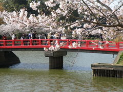 甘木公園 アクセス 営業時間 料金情報 じゃらんnet