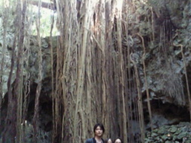 �K���K���[�̒J