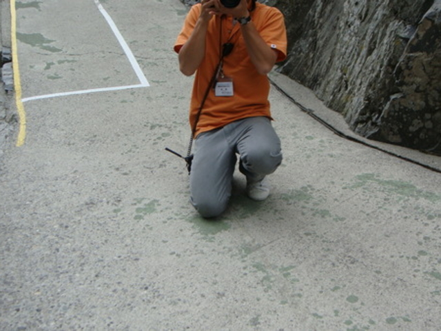 ����달�ό��V���D