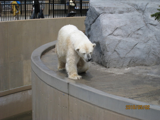 ���R������