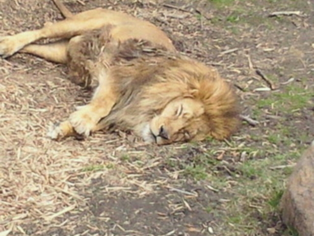 ���R������