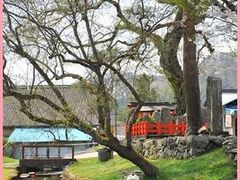 MINK}}̗̐Nւ̓eʐ^1