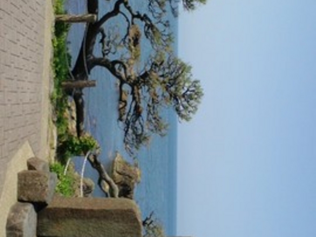 ���a�R�C��