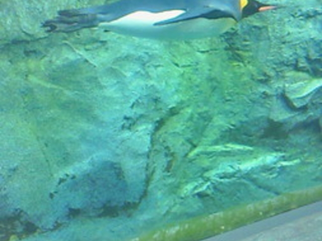 ���R������