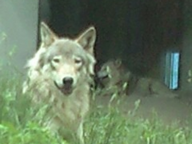 �~�R������