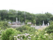 Ƃ񂳂̂[hiORXJCCj̓eʐ^1