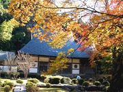 ^񂳂̖@펛̍gt̓eʐ^1