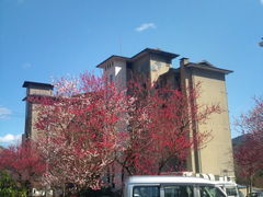 ЂƂ̃C̏h@bRւ̓eʐ^1