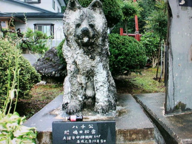 忠犬ハチ公生家】アクセス・営業時間・料金情報 - じゃらんnet