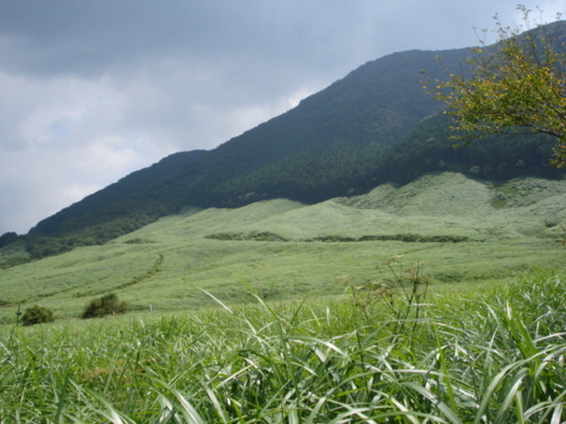 ��Ό�����