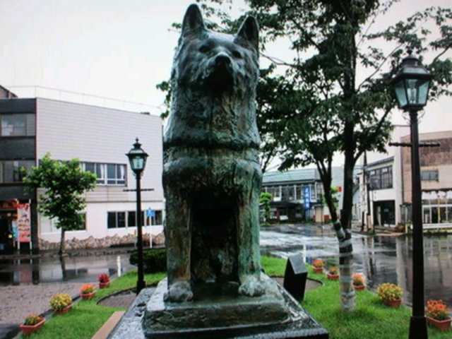 銅像 秋田犬