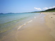 �ӂ����Y(�L�E�ցE�M)����̔��Εl�C������̓��e�ʐ^1