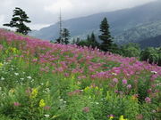 ܂񂳂َ̓RRA̓eʐ^1