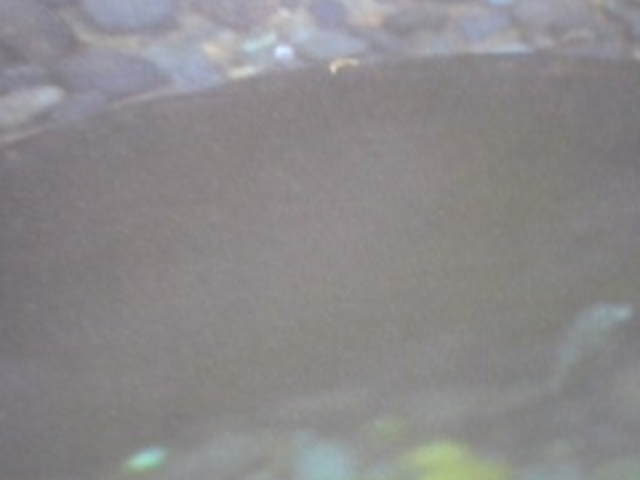 �����_�{����