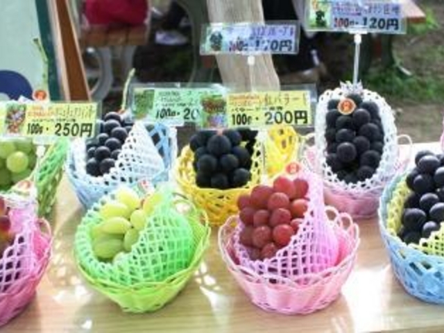 SC̘a@c@C[ht@[̓eʐ^1