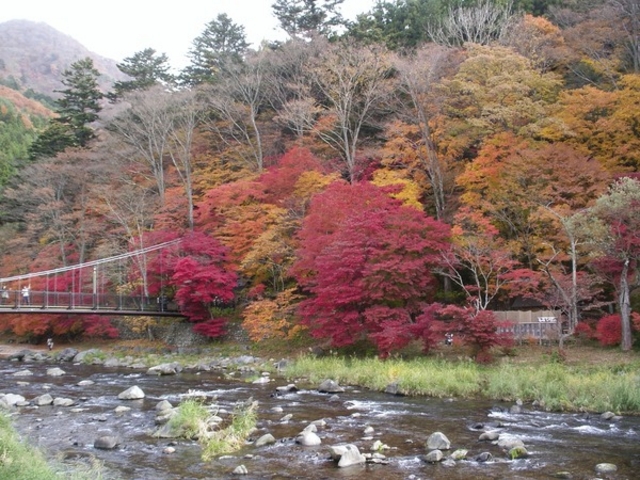 �������̌���