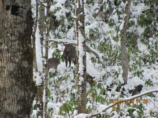 ܁[񂳂̌N񕜑̓eʐ^1