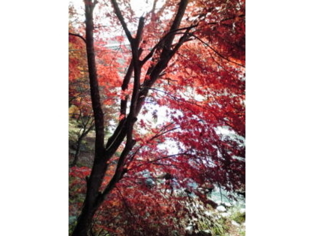 �������݂����C��