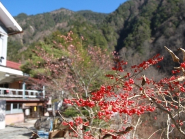 ���[�E���x�o�R��