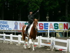 AR[h̏nNu@j[V[Yaւ̓eʐ^1