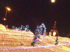 SEIKȌM^͂ւ̓eʐ^1