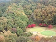 ܂䂳̒ۃJg[Nu̓eʐ^1