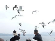 ͂₵܂̓ptF[̓eʐ^1