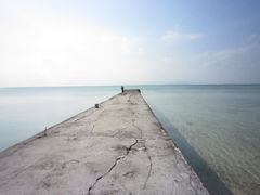 �|�x���̎ʐ^1