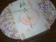 ���Ƃ�����̗Ύ��������ւ̓��e�ʐ^1