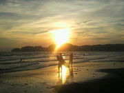 Ȃ񂳂̍ޖ؍C̓eʐ^1