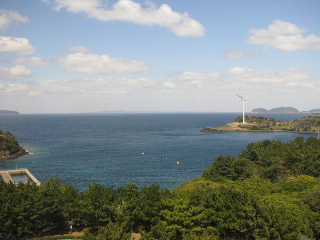 ���C�G�l���M�[�p�[�N