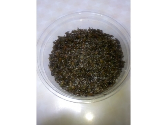 ۂۂ񂳂̖̐{_ ؉Ƃ̓eʐ^1