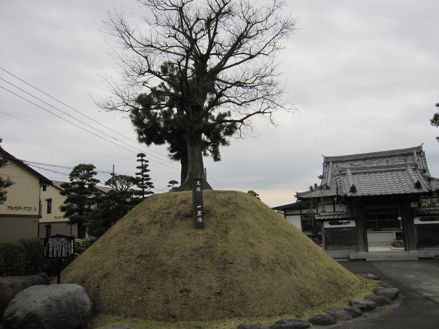 �ʈ䎛�ꗢ��