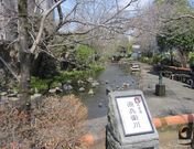 񂳂̌q㗬y̓̓eʐ^1