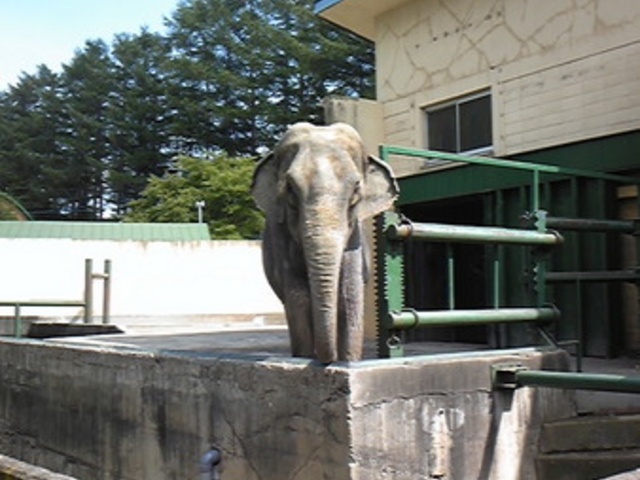 ���тЂ듮����