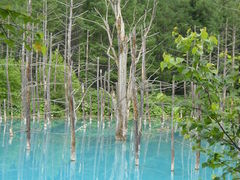 Jyara0123̐rւ̓eʐ^1