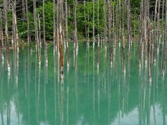 É݂̂}[N̐rւ̓eʐ^1